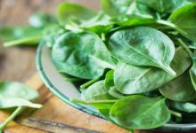 营养研究得出结论菠菜可用于预防骨关节炎引起的骨骼变化