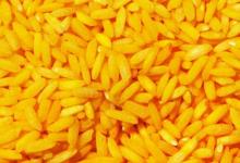 转基因黄金大米过度宣传的营养声称被FDA推翻