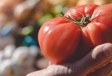 番茄红素是迄今为止发现的最强大的抗癌剂之一