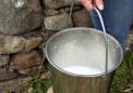 食物储存技巧：保存牛奶的5种方法
