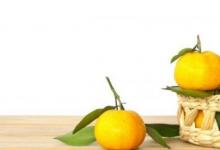随着年龄的增长柑橘对大脑健康有好处