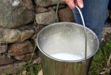 食物储存技巧：保存牛奶的5种方法