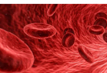 研究开发抗凝血药效高 出血少的抗凝药物