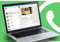 WhatsApp 在最新更新中的桌面应用程序中引入了呼叫选项卡