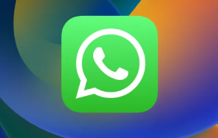 WhatsApp 推出具有新功能的更新 可在 iOS 上转发带字幕的媒体
