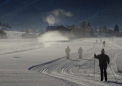长距离滑雪者可以延缓帕金森病的发作
