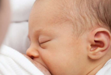 人类母乳的成分可促进婴儿的认知发展