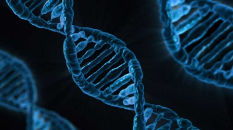 研究发现基因组筛查可以帮助检测甲状腺癌
