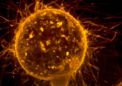 研究揭示了转移性癌细胞遵循的分子途径