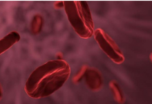 研究人员阐明了血细胞突变在疾病中的作用