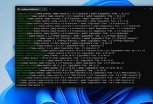 如何备份和还原 Windows 子系统 for Linux 发行版