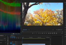 Adobe 推出 Premiere Pro 更新 扩展语音转文本语言支持