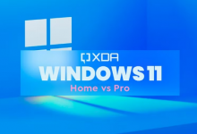 Windows 11 家庭版与 Windows 11 专业版：区别如下