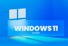 第一个 Windows 11 Canary 频道构建为操作系统带来了轻微的调整和变化