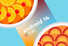 Android 14 Developer Preview 2 已发布 具有选定的照片访问权限和其他更改