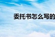 委托书怎么写的（委托书写法说明）