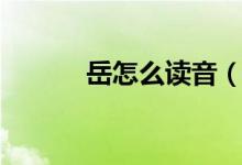 岳怎么读音（岳的拼音及组词）