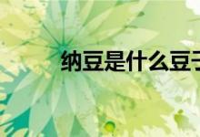 纳豆是什么豆子（纳豆简单介绍）