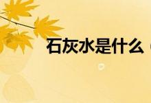 石灰水是什么（石灰水解释说明）