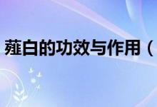 薤白的功效与作用（薤白的功效与作用简述）