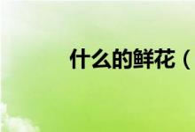 什么的鲜花（什么的鲜花填空）
