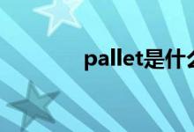 pallet是什么意思（pallet）