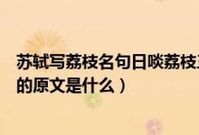 苏轼写荔枝名句日啖荔枝三百颗下半句是（日啖荔枝三百颗的原文是什么）