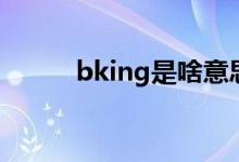 bking是啥意思（bking的解释）