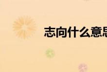 志向什么意思（什么是志向）