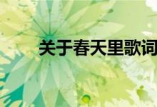 关于春天里歌词（春天里歌曲介绍）