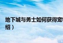 地下城与勇士如何获得宠物（地下城与勇士获得宠物方法介绍）