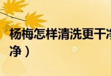 杨梅怎样清洗更干净（杨梅怎样清洗才能洗干净）