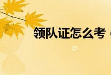 领队证怎么考（考领队证的要求）