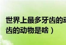 世界上最多牙齿的动物是什么（世界上最多牙齿的动物是啥）