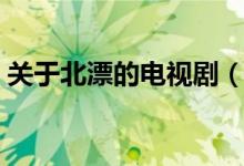 关于北漂的电视剧（关于北漂的电视剧推荐）