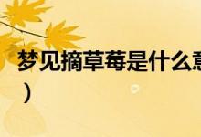 梦见摘草莓是什么意思（梦里摘草莓预示什么）