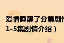爱情睡醒了分集剧情介绍（电视剧爱情睡醒了1-5集剧情介绍）