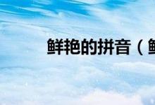 鲜艳的拼音（鲜艳的拼音及解释）