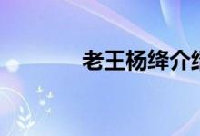 老王杨绛介绍（老王的简介）