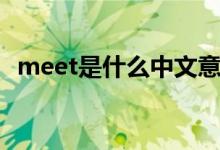 meet是什么中文意思（英语meet的意思）