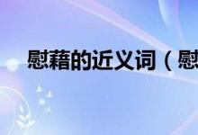 慰藉的近义词（慰藉的近义词有哪些呢）