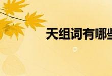 天组词有哪些（天组词精选）