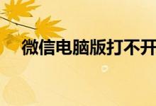 微信电脑版打不开怎么办（如何解决呢）