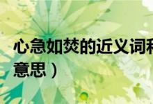 心急如焚的近义词和反义词（心急如焚是什么意思）