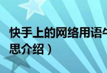 快手上的网络用语牛马是什么意思（牛马的意思介绍）