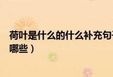 荷叶是什么的什么补充句子（荷叶是什么的什么补充句子有哪些）