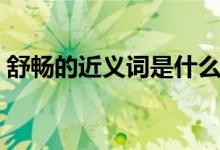 舒畅的近义词是什么（舒畅的近义词有哪些）