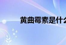 黄曲霉素是什么（黄曲霉素介绍）