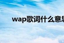 wap歌词什么意思（wap歌词的意思）