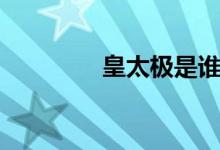 皇太极是谁（皇太极简介）